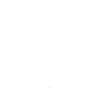 Cibele Marchesi